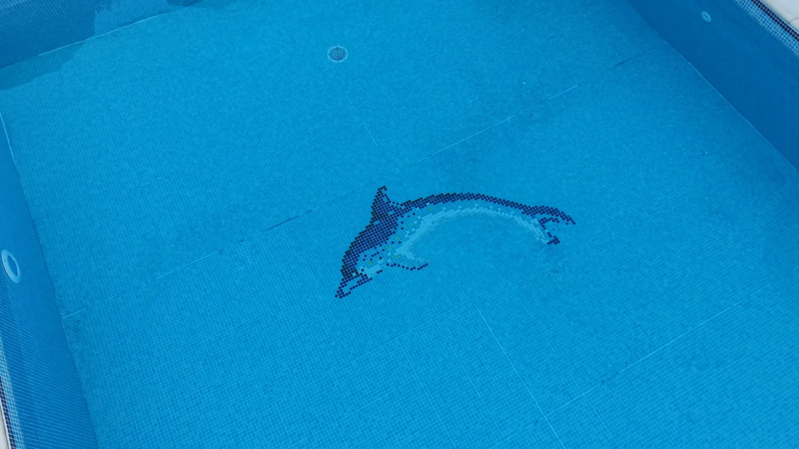 Il delfino in mosaico sul fondo della vasca