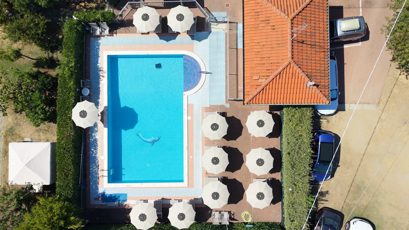 La piscina a mezzogiorno vista dal drone, con il delfino in mosaico sul fondo