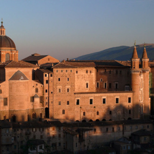 Urbino